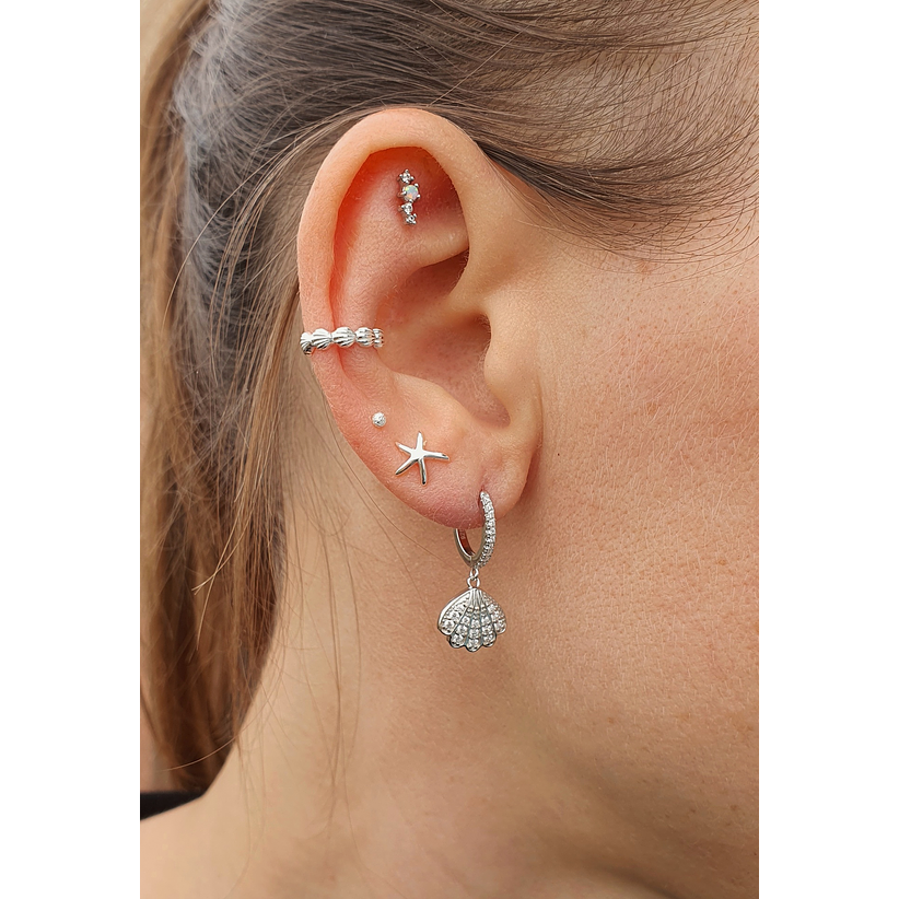 Argollas concha marina 2