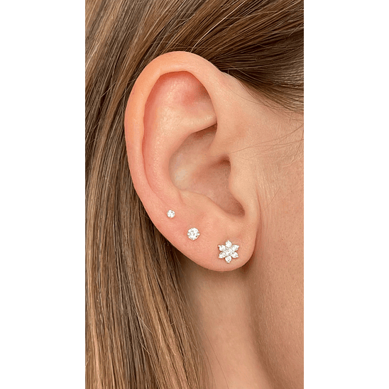 Conjunto flor y puntos de luz﻿ 1