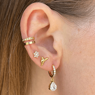 Conjunto colibrí dorado