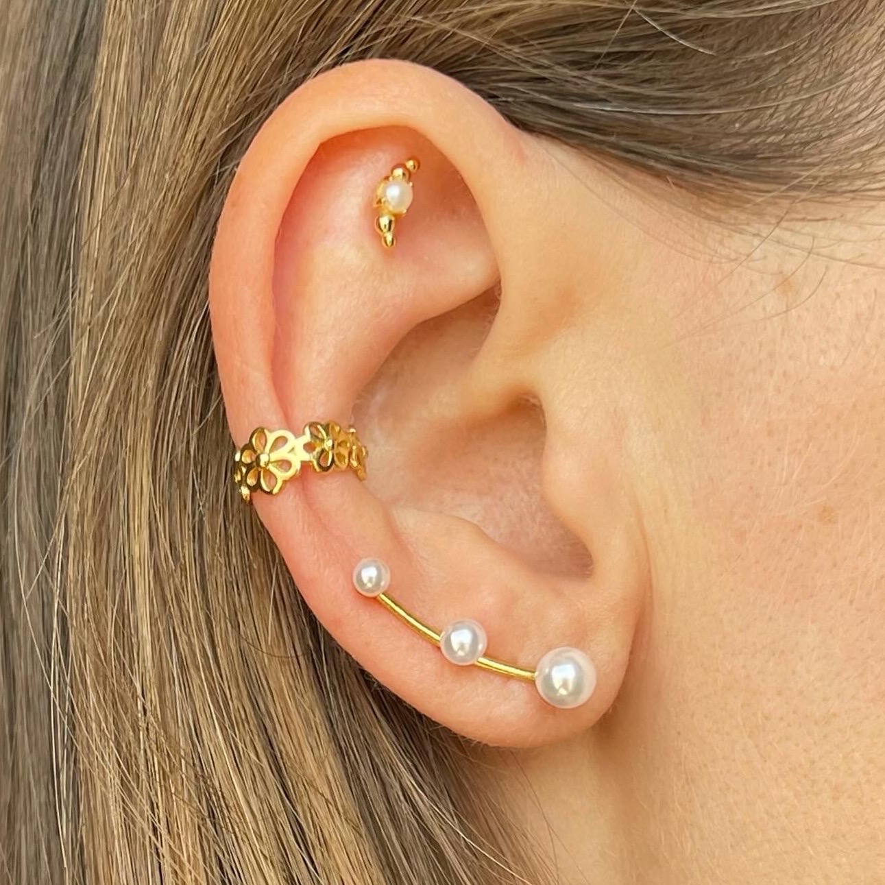 Trepadores de perlas