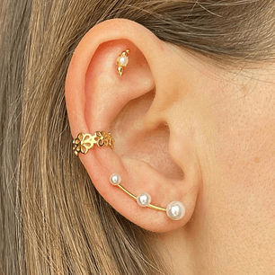 Trepadores de perlas