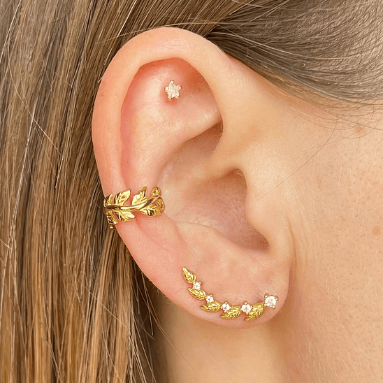 Trepadores hojas doradas 1