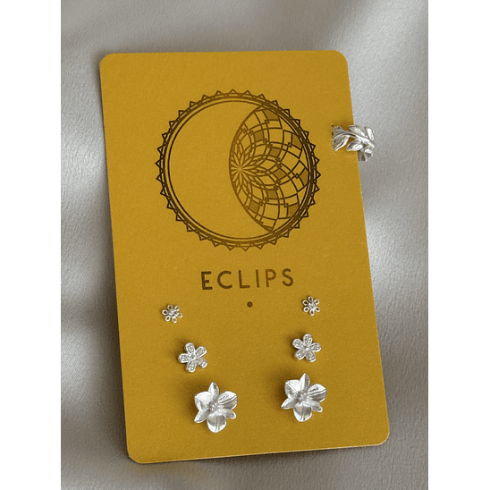 Conjunto de flores 2