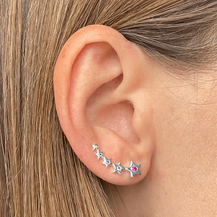 Trepadores estrellas multicolor