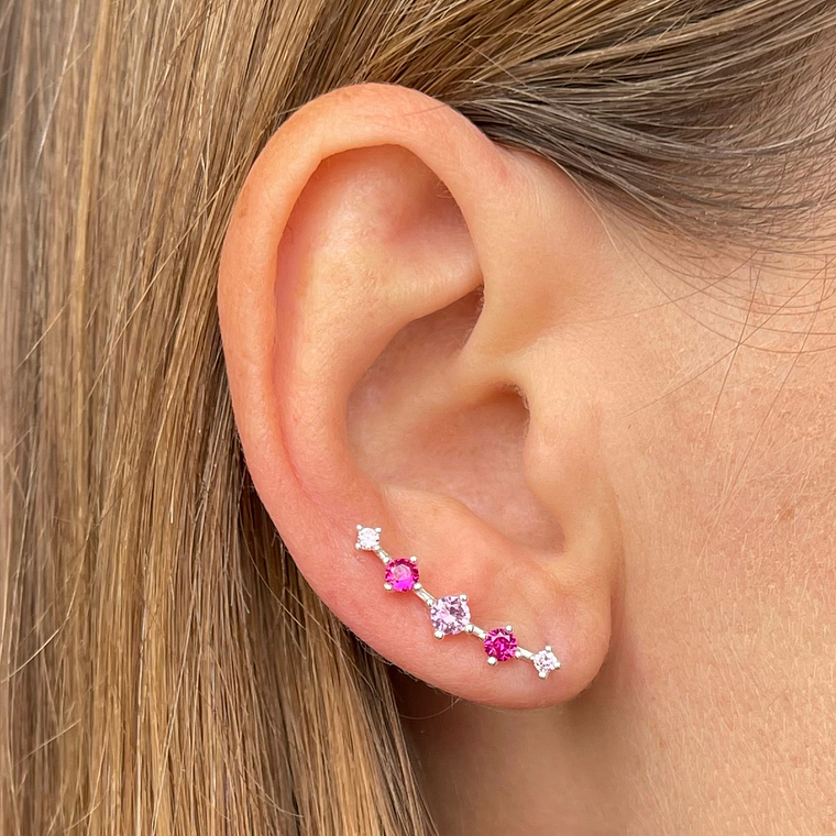 Trepadores rosados 1