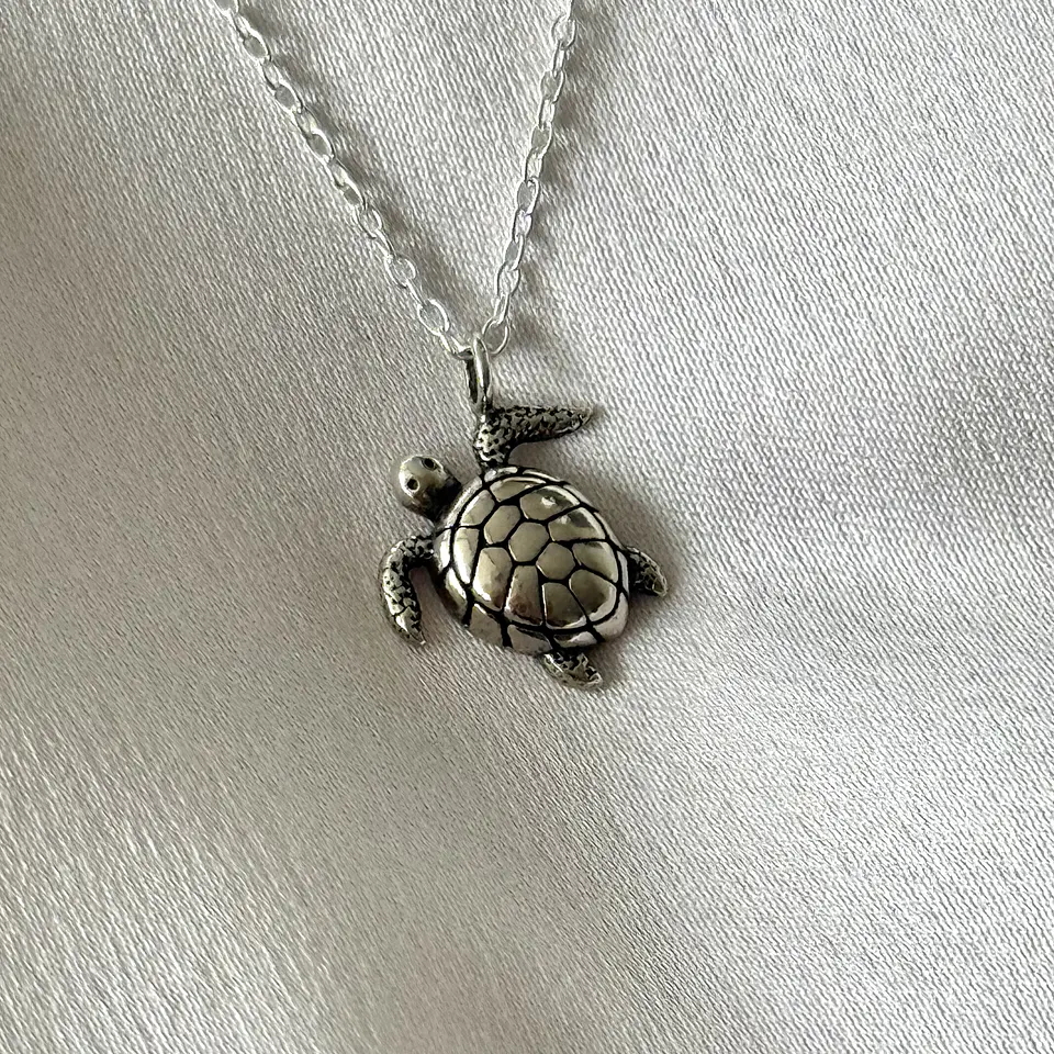 Collar tortuga 1