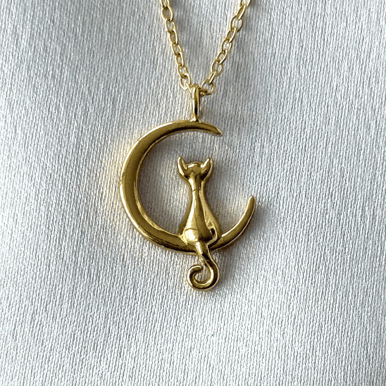 Collar gato en la luna 1