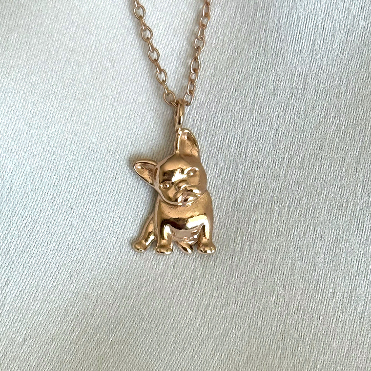 Collar Bulldog francés 1