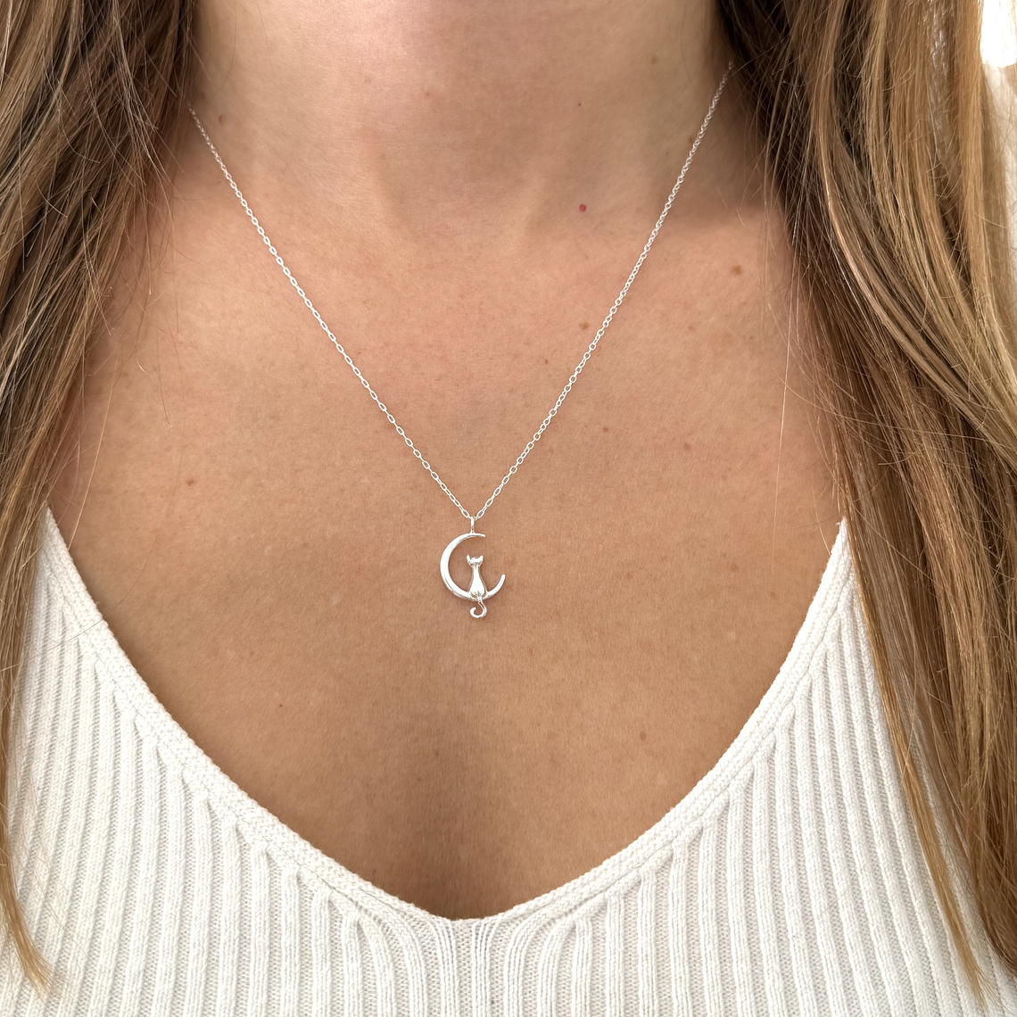 Collar gato en la luna 2