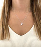 Collar caballo  - Miniatura 2