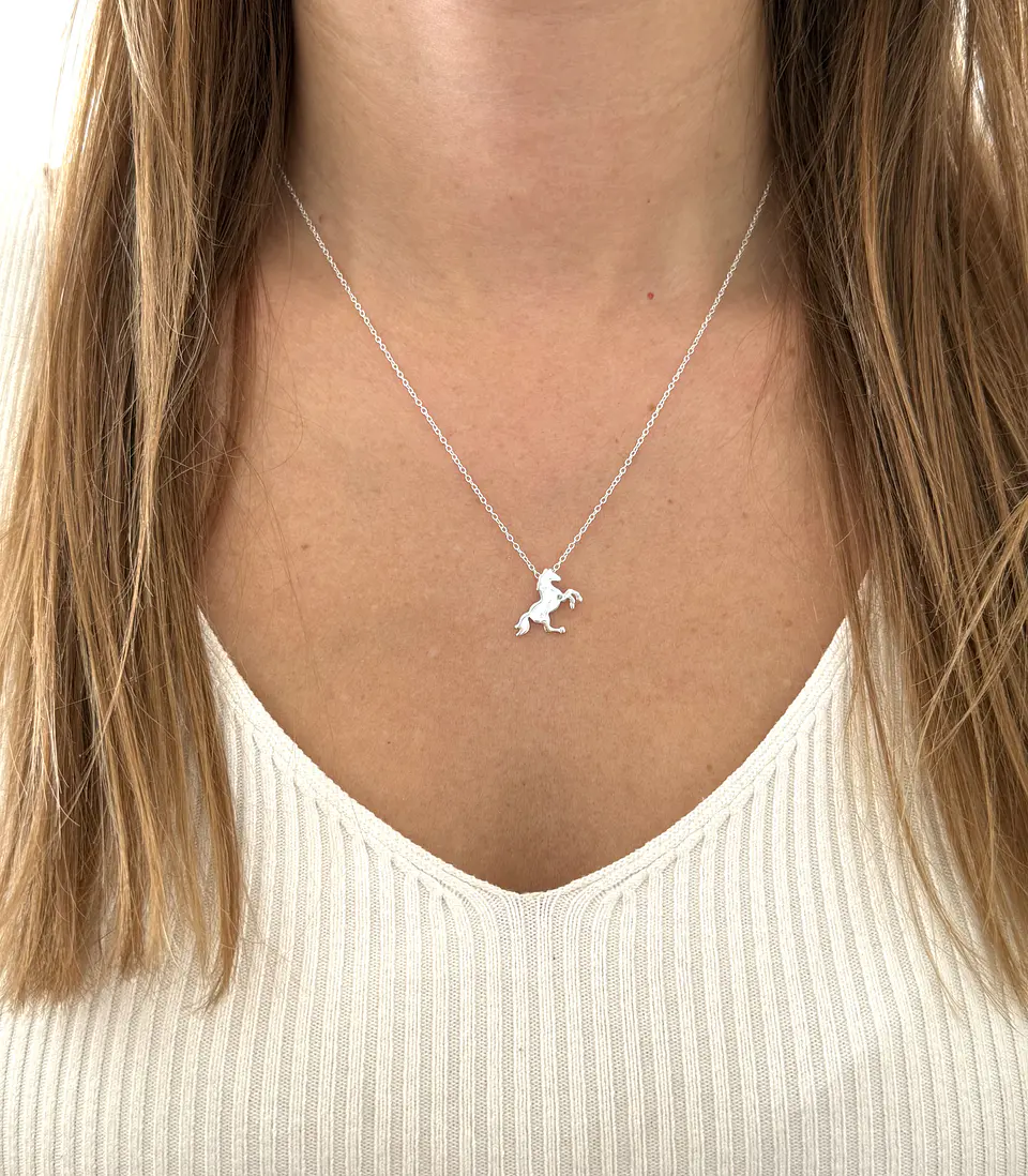 Collar caballo  2
