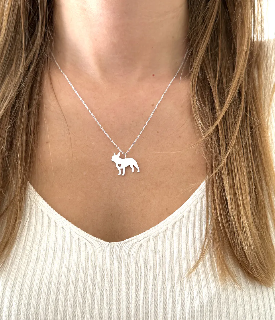 Collar perrito 2