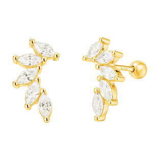 Hojas brillantes con tope