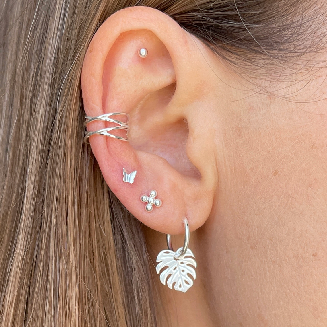 Argollas monstera deliciosa  2