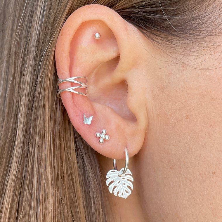 Argollas monstera deliciosa  2