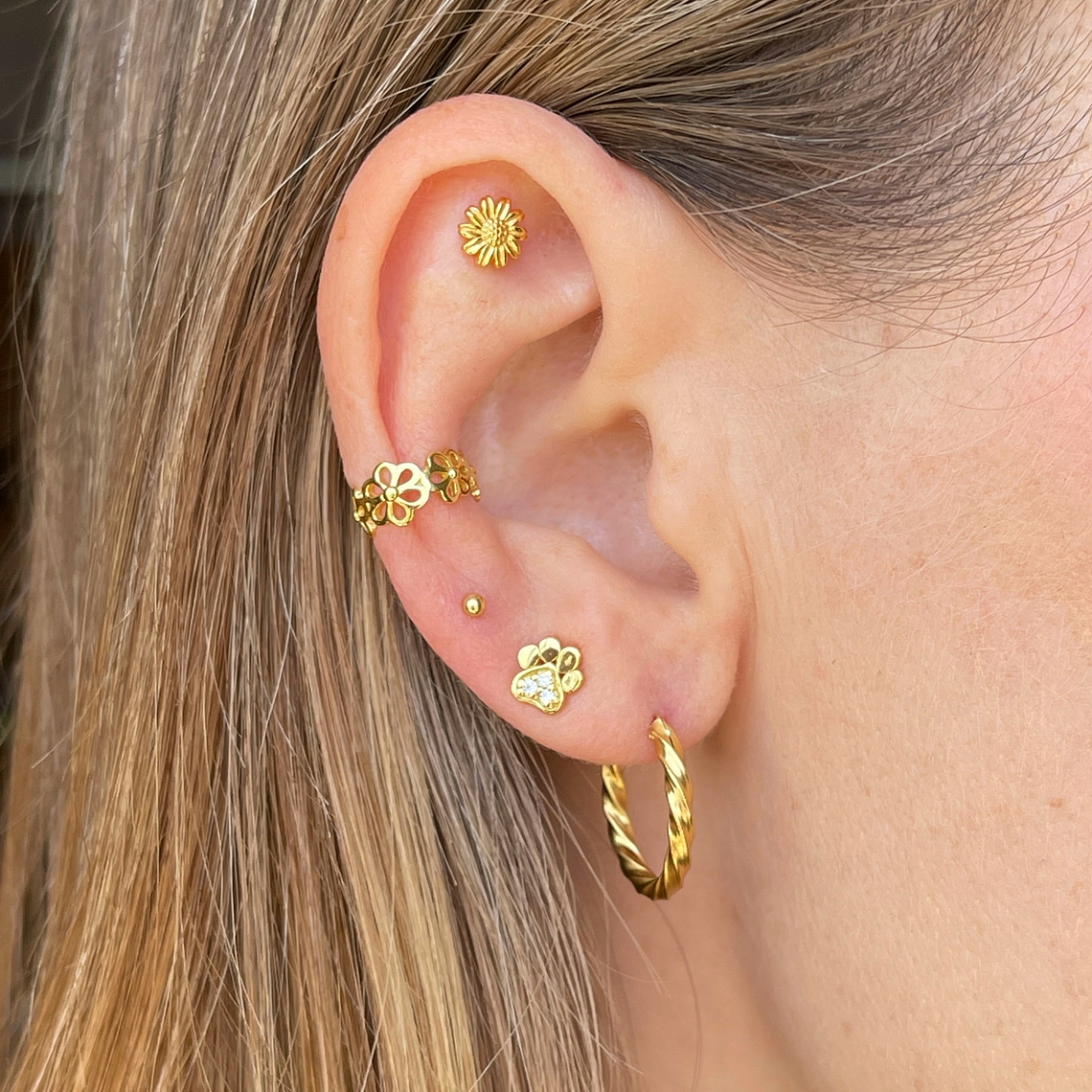 Pata de perro 6 mm 2