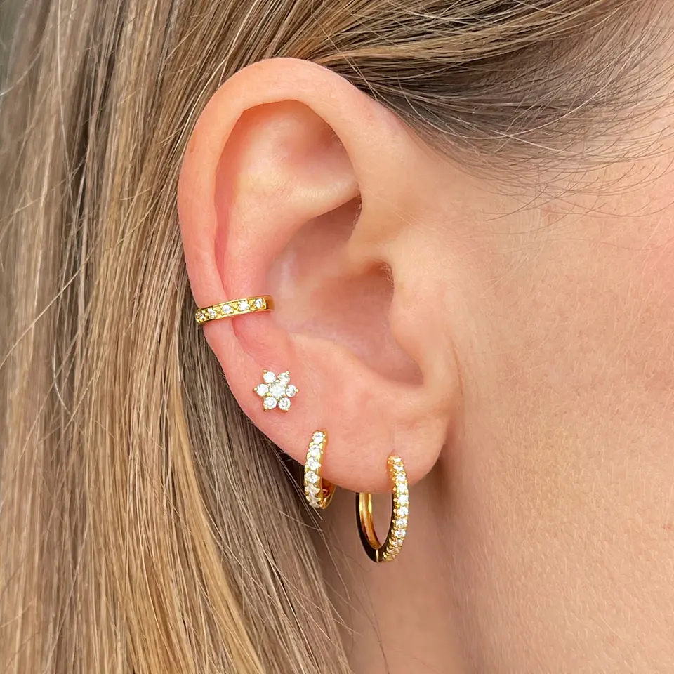 Conjunto argollas  1