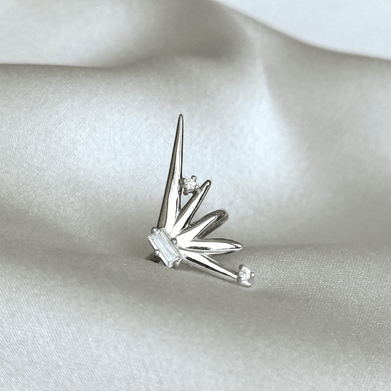 Cuff oreja izquierda  1