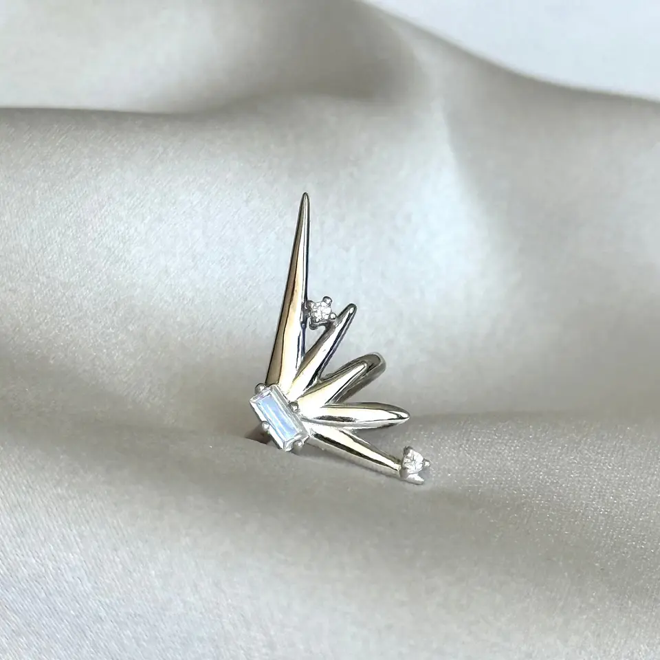 Cuff oreja derecha 1