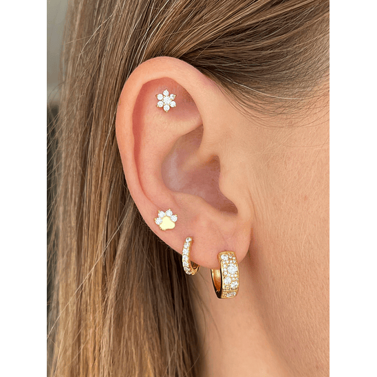 Pata de perro con tope 2