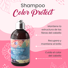 Shampoo - Color Protect