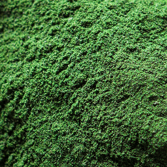 Espirulina orgánica