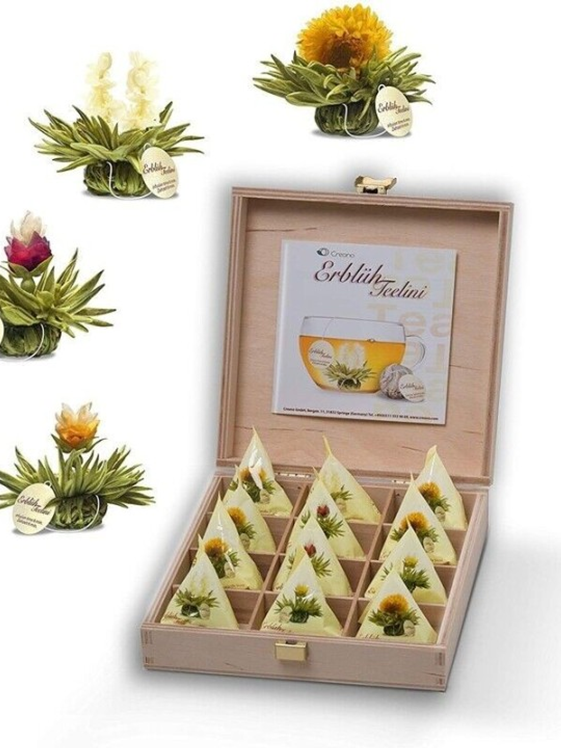 Flores de Chá Branco – Um espetáculo para os sentidos 1