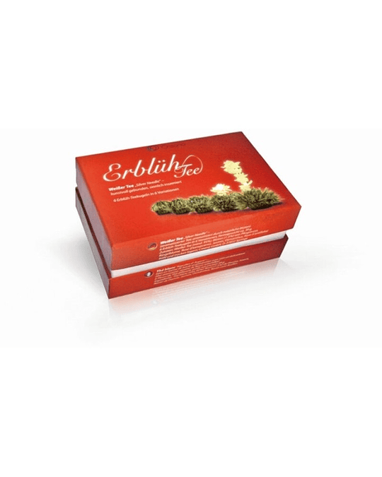 Flores de Inverno – Chá Branco Festivo