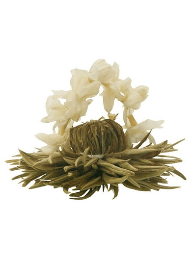 Estrela de Inverno – Chá Branco Nuvem de Prata