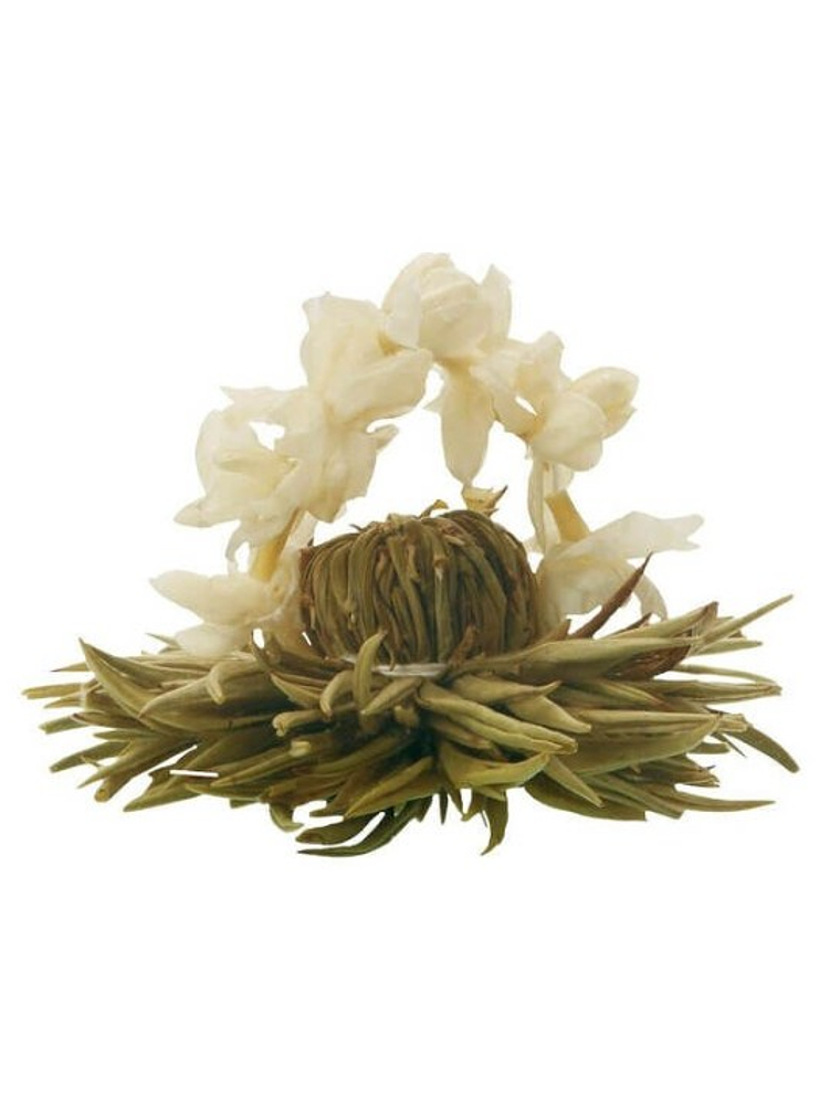 Estrela de Inverno – Chá Branco Nuvem de Prata 1