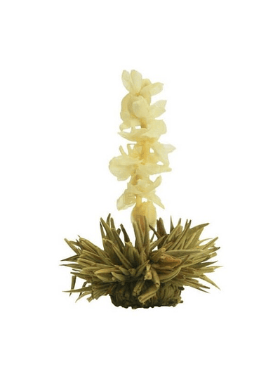 Brilho de Neve – Chá Branco Pérola Branca