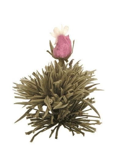 Aurora Púrpura – Chá Branco de Inverno