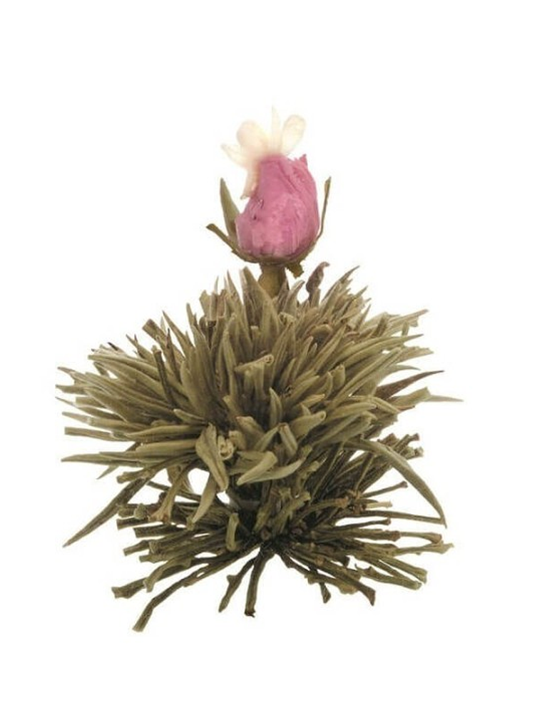 Aurora Púrpura – Chá Branco de Inverno 1