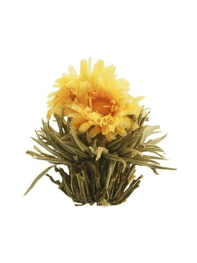 Sol de Inverno – Chá Branco Dourado