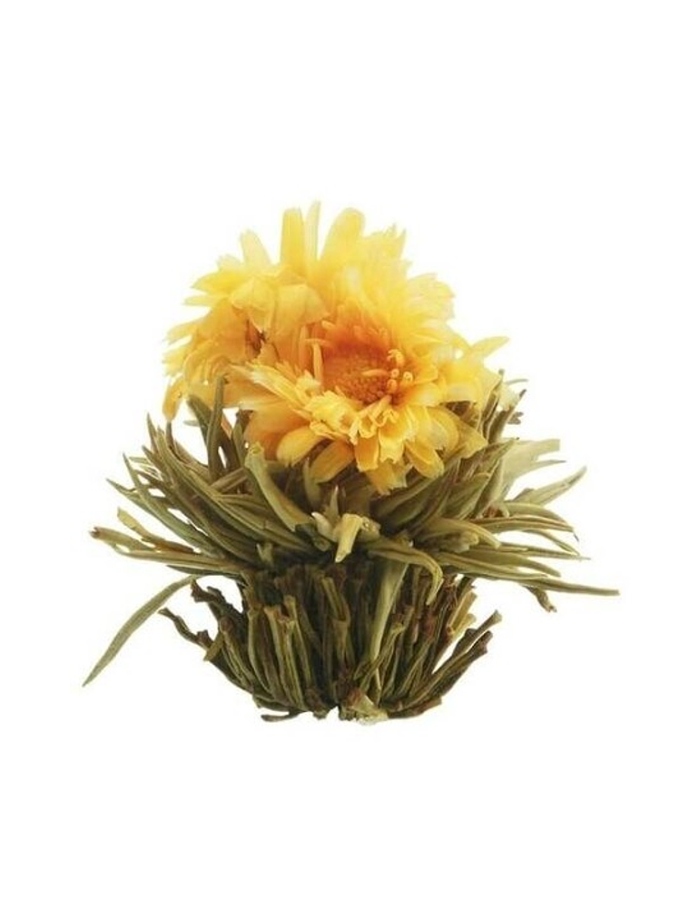 Sol de Inverno – Chá Branco Dourado 1