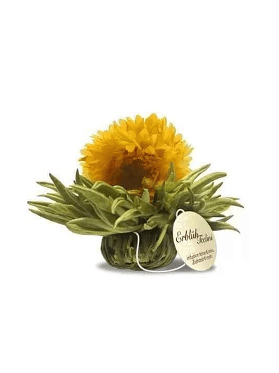 Doce Inverno – Pérola de Baunilha