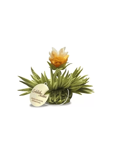 Brilho Cítrico – Pérola de Limão