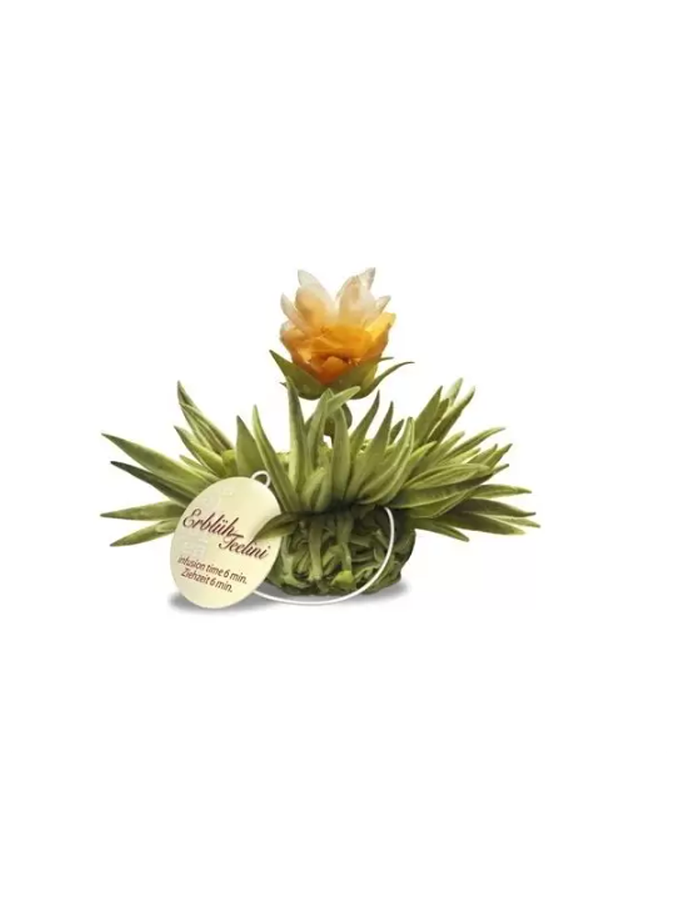 Brilho Cítrico – Pérola de Limão 1