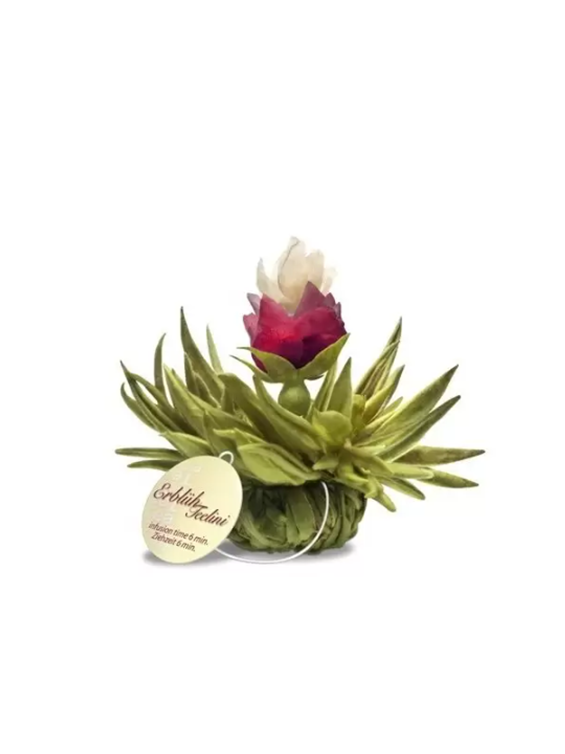 Encanto de Pêssego – Pérola de Inverno 1