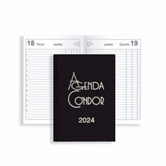 AGENDA CONDOR A21 14X21 DIARIA 2024