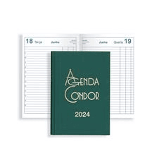 AGENDA CONDOR A21 14X21 DIARIA 2024