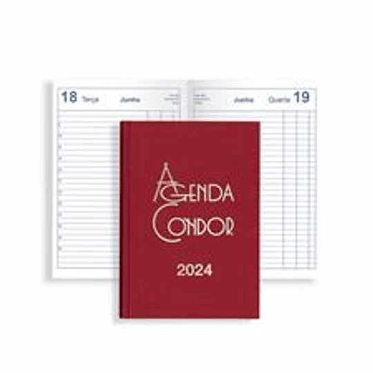 AGENDA CONDOR A21 14X21 DIARIA 2024