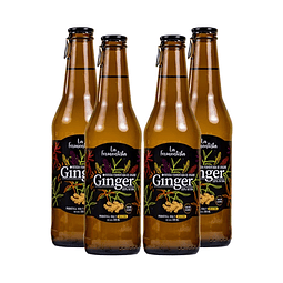 Ginger • Bebida fermentada de jengibre con kéfir