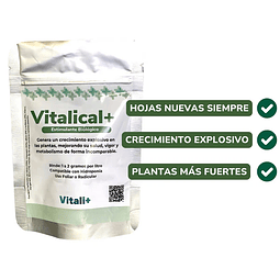 Vitali Vitalical 20gr