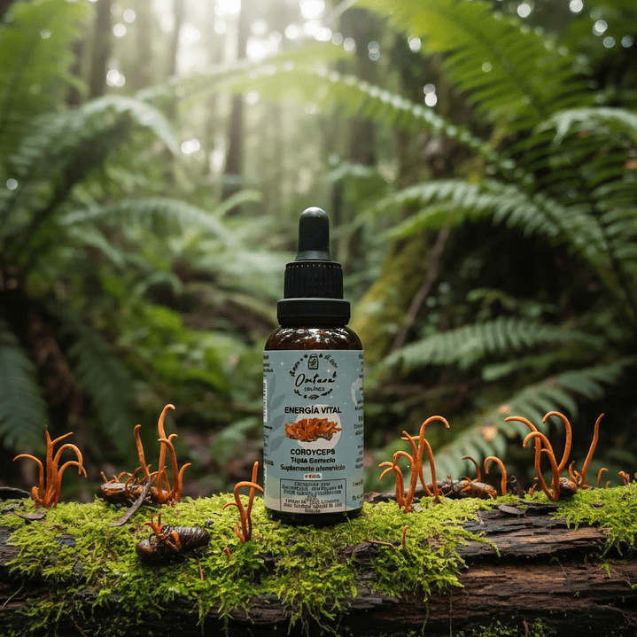 Energía vital Cordyceps triple extracto / Omtara 1
