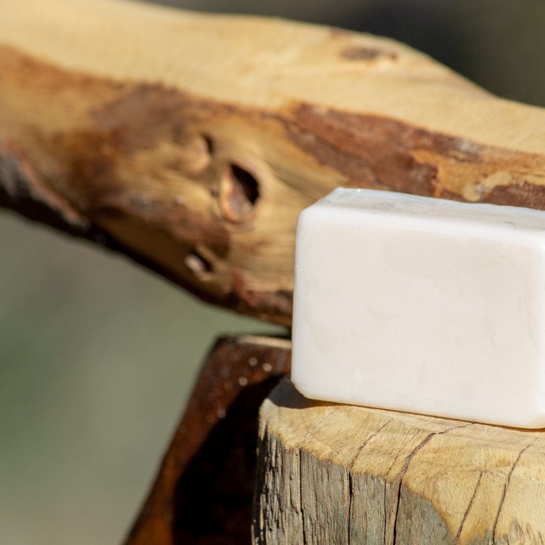 Shampoo en Barra Aloe Vera & Quillay 60g – Hidratación, brillo y crecimiento natural 1