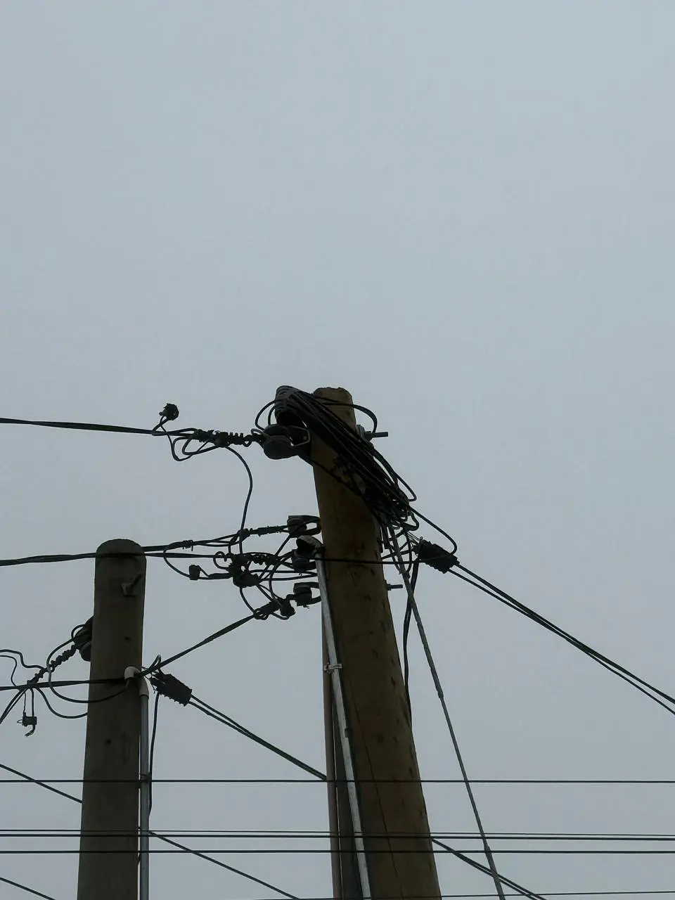 Empalme BT1 con instalación de luminaria – Localidad Nueva Aurora (Ovalle)  4