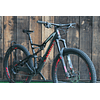 SPECIALIZED STUMPJUMPER S-WORKS L USADA