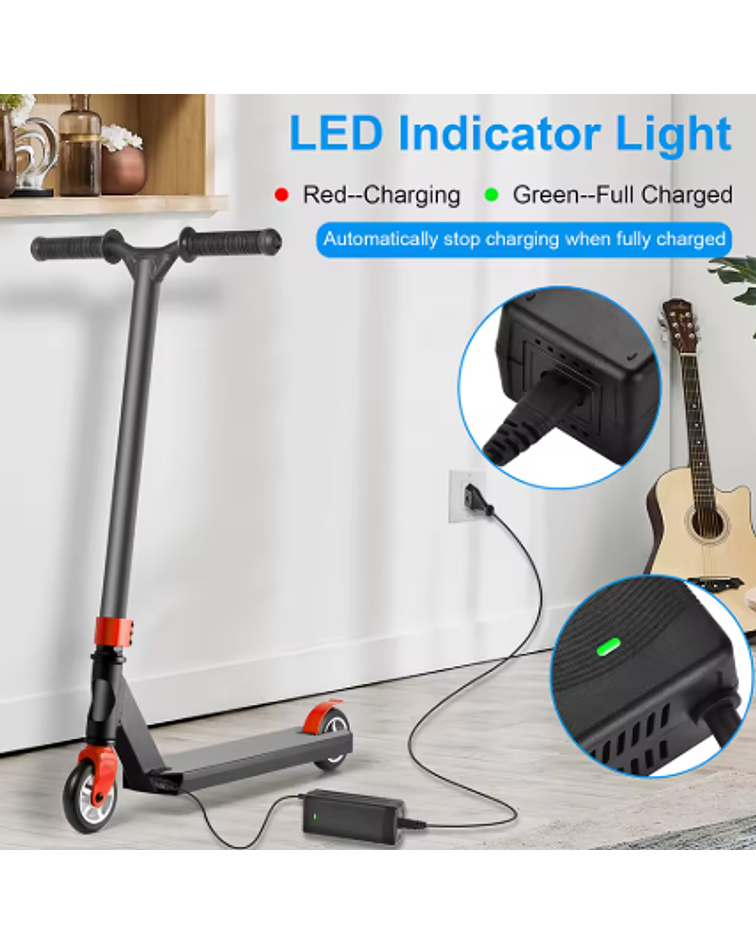 Cargador 67.2 v  2amperes generico