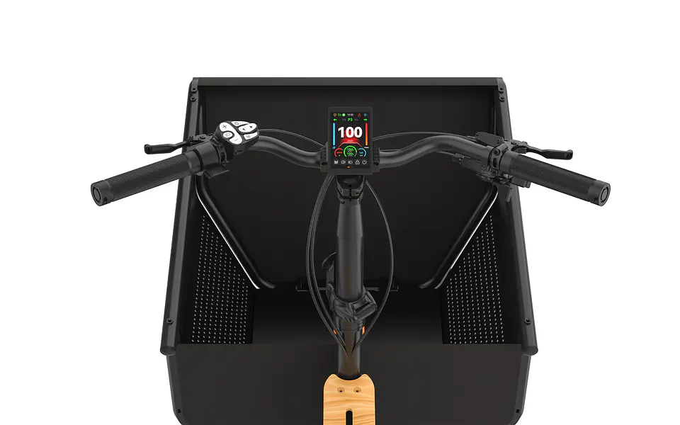BICICLETA CARGO ELECRICA M8 4